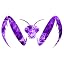 Purple Flames