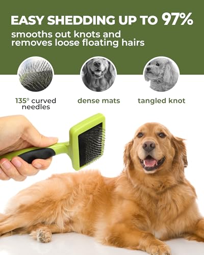 Image of Dog Brush for Shedding Grooming,6 Pack Long-Pin Brush Set for Long Haired Dog Cat Goldendoodles Poodles Doodles Green