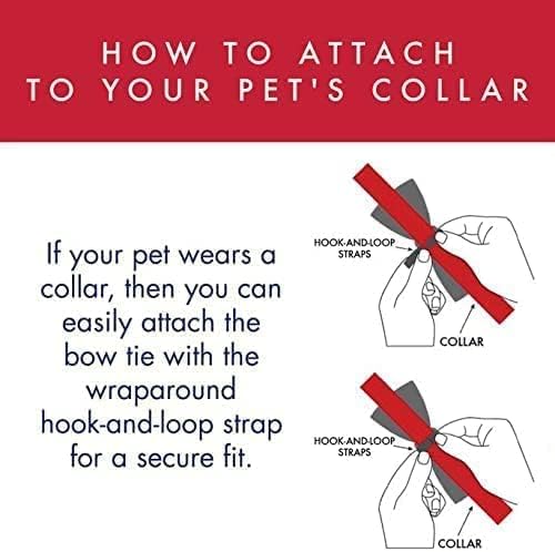 Miniatura 5 de Huxley & Kent Pajarita para mascotas  Besos (pequeño)  Accesorio para el día de San Valentín para mascotas  Divertidas pajaritas para perros y gatos