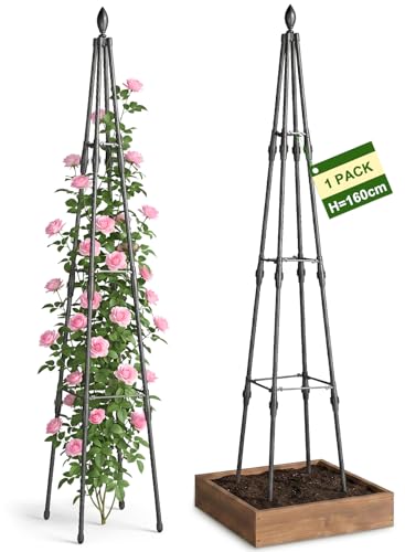Garden Obelisks for Climbing Plants 160cm 5FT Metal Garden Trellis Climbing Plants Support for Sweet Pea Clematis Fruits Tomato Rose - Outdoor Obelisks Tower Trellis for Climbing Plants