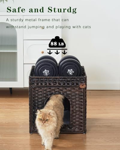 Cat Beds for Indoor Cats Extra Large Double Cat Cave — alternate color or size variant on Amazon