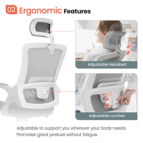 Neo Chair Dbs-H High Back Mesh Headrest Adjustable Height And Ergonomic Design Home Office Computer Desk Executive Lumbar Support Padded Flip-Up Armrest Swivel Chair (Grey) #TOP4