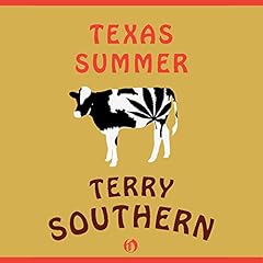 Texas Summer Audiolibro Por Terry Southern arte de portada