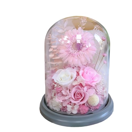 Xiraivke 不滅のガーベラ花ひまわりガラスギフトボックスクリスマスバレンタインデー母の日教師の日女性の日ギフト (ピンク)