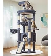 Amazon | Taoqimiao キャットタワー 高さ180cm 大型猫用 多頭飼い対応