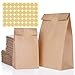 Bolsas de Papel, 80 Piezas Bolsa Biodegradable Contiene 2 Tamaños y Pegatinas de Cierre Bolsas de Regalo de Marrones para Chuches Bocadillos Almuerzo Bocadillo