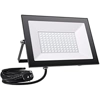 Allin LED Strahler Außen mit Stecke 100W - 6500K 10000LM Superhell LED Strahler, IP65 Wasserdicht Scheinwerfer, Fluter mit 300cm langem Stecker kabel, Flutlicht für Garten, Innenhöfe, Garage