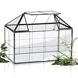 EFUTURETIME Mini Gewächshaus Fensterbank Glas 23,3 x 13,6 x 18cm Pflanzen Terrarium Klein Flaschengarten DIY (Keine Pflanzen enthalten) für Sukkulenten, Kakteen
