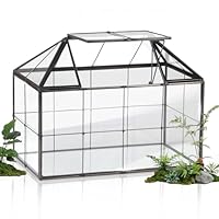 EFUTURETIME Mini Gewächshaus Fensterbank Glas 23,3 x 13,6 x 18cm Pflanzen Terrarium Klein Flaschengarten DIY (Keine Pflanzen enthalten) für Sukkulenten, Kakteen
