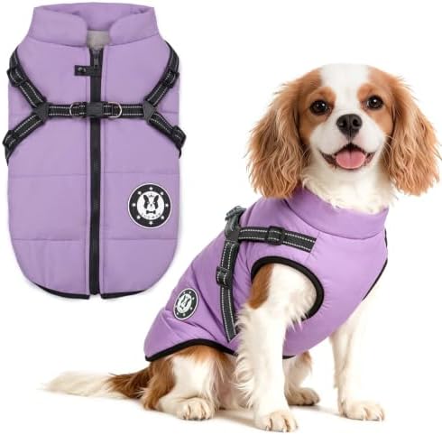 LUOWAN Hundemantel für kleine Hunde, Hundemantel mit Geschirr, Reflektierende Outdoor-Hundeweste, Winter Hundejacke für Katzen, Welpen, kleine, mittlere Hunde