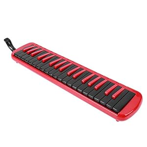 Melodica-set + tas voor beginnersoefening voor muziekliefhebbers(red)
