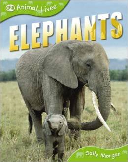 Elephants B007R6LS5Q Book Cover