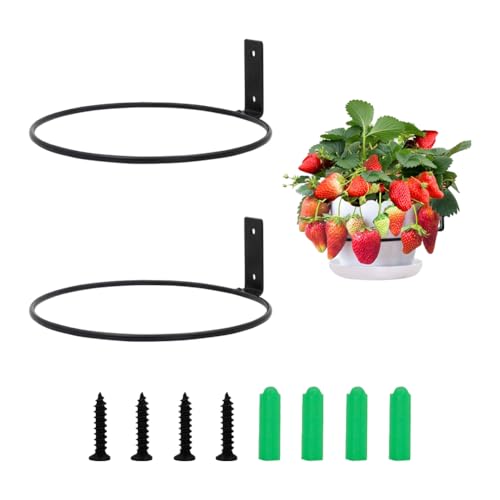 Image of 2Pcs Flower Pot Holder Planter, Black Ring Wall Mounted Plant Hook Hanging Plant Stand Ring Hooks Metal Plant Bracket for Indoor/Outdoor Garden Home Decoration Fence Balcony, Set of 2 (8 Inch)