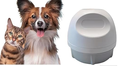 continuous glucose monitoring devices for dogs