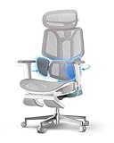 Hbada E3 Pro Sedia Ufficio e Scrivania Ergonomica, con Supporto Lombare Dinamico a 3 Zone, Testiera Regolabile 4D, Braccioli Regolabili 6D (Polipropilene, Rosa)