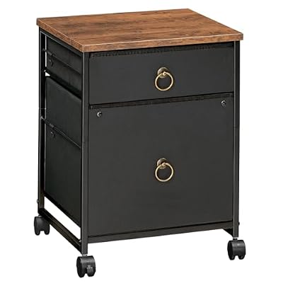 HOOBRO File Cabinet, 2-Drawer Vertical Mobile Office Cabinet, Rolling Printer Stand, for A4/Letter Size Files, Nonwovens Drawer, for Home Office, Rustic Brown and Black BFK21WJ01