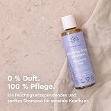 Urtekram Fragrance Free Shampoo – Zertifiziertes Bio-Shampoo Vegan, Parfümfrei für empfindliche Kopfhaut, Aloe Vera & Glycerin, sanfte Reinigung & Feuchtigkeit, 250 ml (1er Pack)