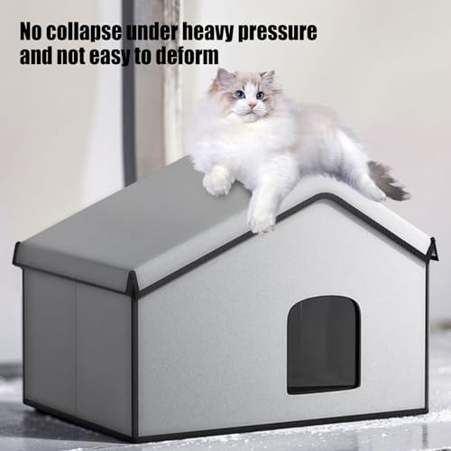 Maison de refroidissement pour chat intérieur et extérieur avec boîte à glace