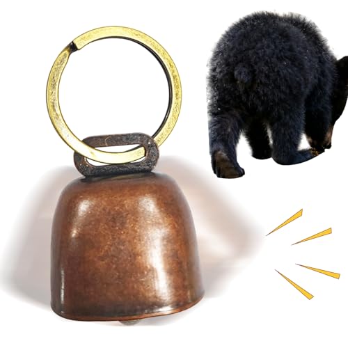 xA- re[W y NA Eh c[ - LvpF悯 - Ejp Lv {[ghq Cxg tbg{[ X|[c obNpbLO