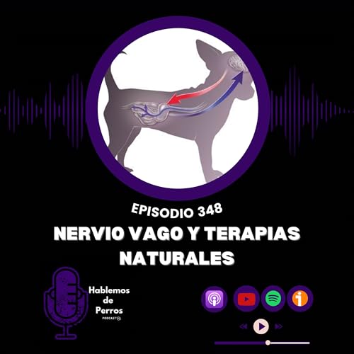 『EP#348: Nervio vago y terapias naturales』のカバーアート