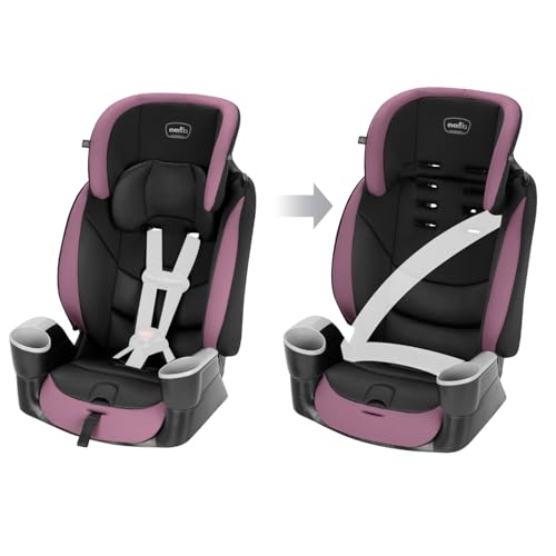 Evenflo Maestro Sport Booster