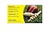 Cricket For Dummies, 2nd Edition