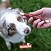 Rosewood Chewy Sticks Lachs Small – Kaustangen für Hunde mit Lachs, Rinderhautsnack, Rohhautsnack, unterstützt die Zahnpflege, ohne Getreide, ohne künstliche Zusatzstoffe, 72 g
