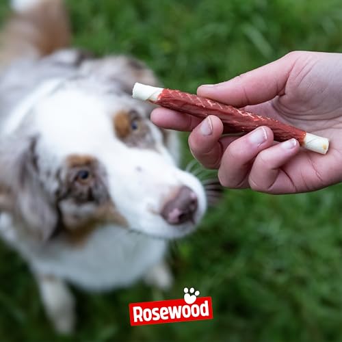 Rosewood Chewy Sticks Lachs Small – Kaustangen für Hunde mit Lachs, Rinderhautsnack, Rohhautsnack, unterstützt die Zahnpflege, ohne Getreide, ohne künstliche Zusatzstoffe, 72 g