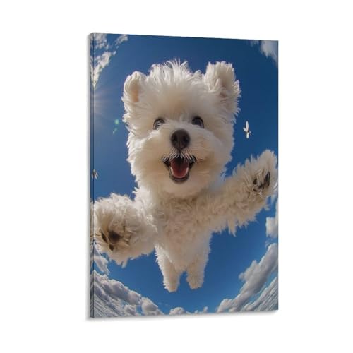 Tableau décoration murale image sur toile Bichon Frisé fini les murs vides