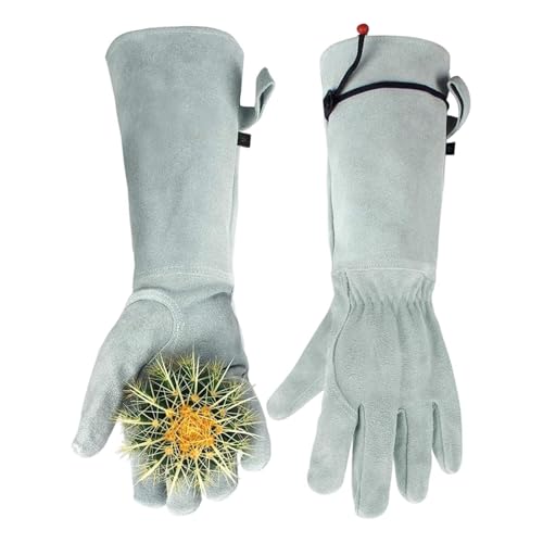 Guantes para podar rosas y agave en el jardín o patio trasero