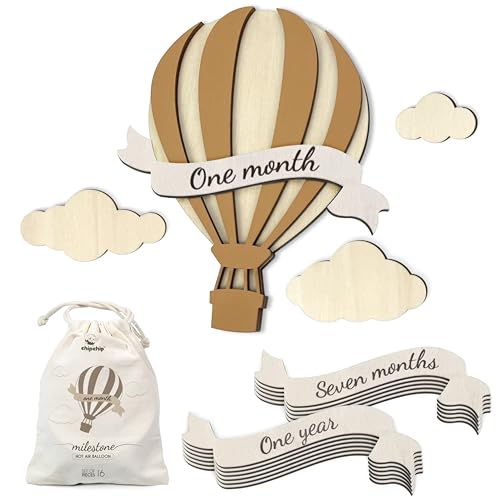 Image of Baby Monthly Milestone Wooden Circles, Hello World Newborn Sign, Month Baby Milestone Signs for Newborn Photoshoot, Hot Air Balloon Edition Baby Monthly Milestone Wood Discs for Unisex Baby Boy & Girl