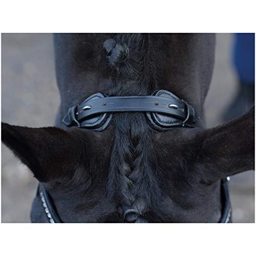 Foto von Trense EMOTION