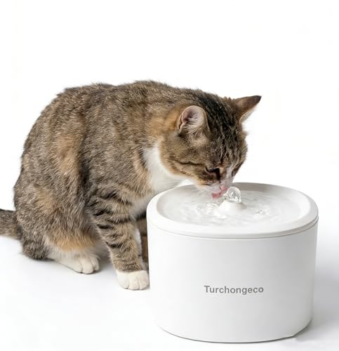 Fuente automática para beber agua para gatos y mascotas