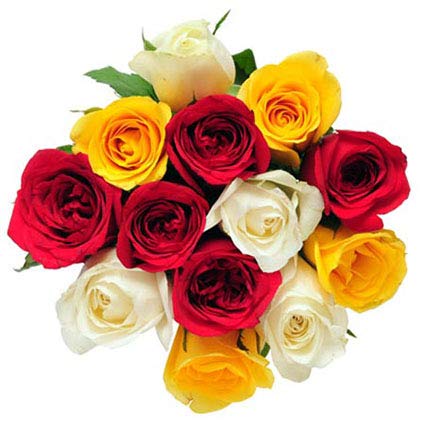 MumbaiFlower 12 Mixed Color Roses (Bunch of 12)-picture-10