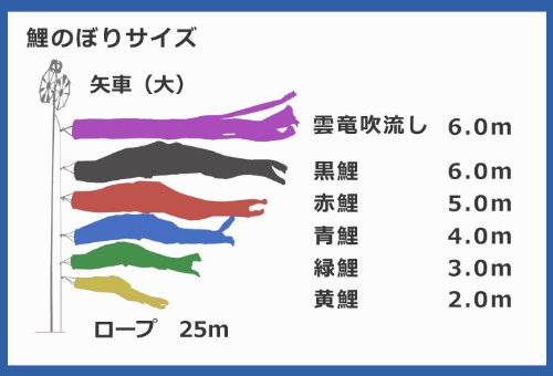 Amazon | 【家紋・名入れ対応】【庭園鯉のぼり】6m黄金金箔鯉のぼり金