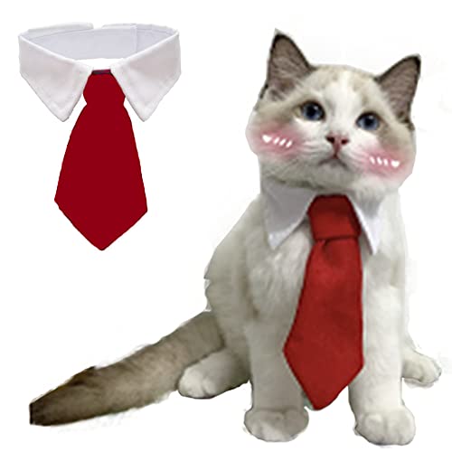 Collar formal para perros y gatos ANIAC pequeño