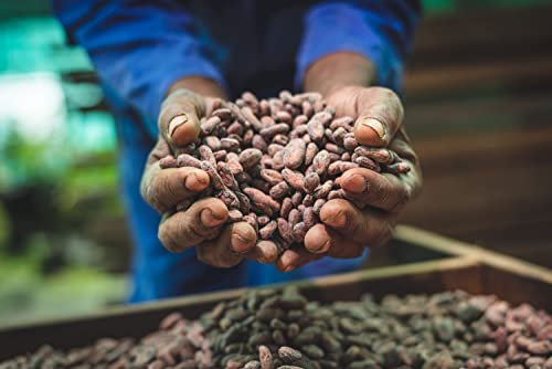 Hotel Chocolat The Selectors Collection, Dark, 570 g