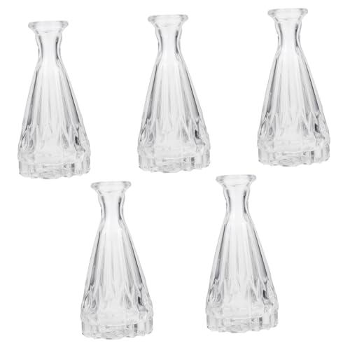 HAMPPLIES Vaso Floreale in Vetro Trasparente Bottiglia Per Aromaterapia Contenitore Da Tavolo Per Fiori e