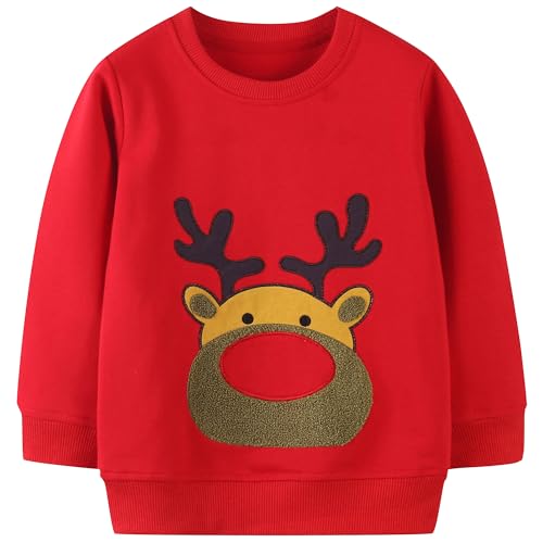 Image of AIWUHE Toddler Cotton Sweatshirt Boys Girls Pullover Long Sleeve Tops 2-6Y