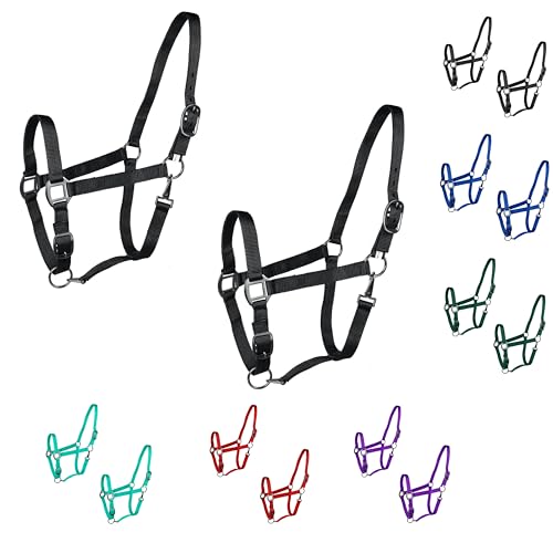 Licol réglable pour chevaux avec mentonnière ajustable et mousqueton cousu
