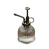 Plantensproeier Plantglasverstuiver Transparant glazen sproeiflacon Plantensproeier in vintage stijl Met pomp