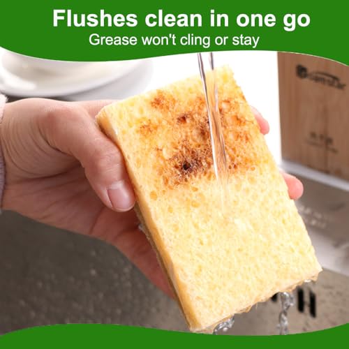 Image of Natural Sponges for Dishes - 12Pcs Biodegradable Sponges,Natural Dish Sponge, Palm Fiber Scrubbing Sponge