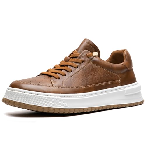[WinYeah] Xj[J[ {v Y JWA C [XAbv EH[LOV[Y DS350 uE 24.5