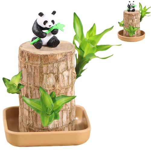 Madera de Suerte brasileña con Panda ,Planta Adornos Panda Set,Aire Limpio Lucky Bamboo Pot Figura,Brasileño de Madera,Planta brasileña para decoración Escritorio,Bonsais Naturales Interior. (B)