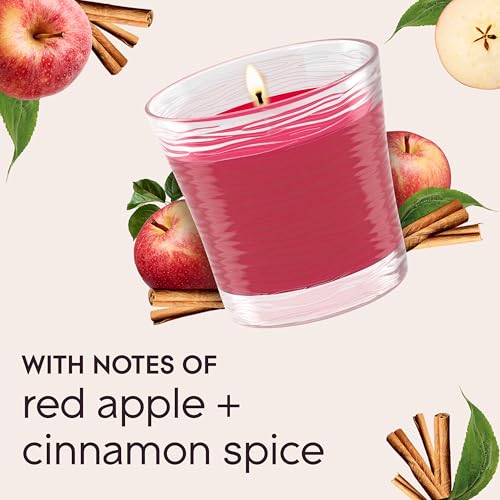Glade 1-Wick Scented Candle Jar, Apple Cinnamon, Air Freshener Infused with Essential Oils, 4.08 Oz, 3 Count - image 6