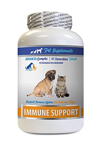 Oral Allergy for Cats - PET Immune Support - for Dogs and Cats ONLY - Natural - VETS Choice - cat Allergy Help - 60 Treats (1 Bottle)