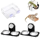 Reptilien Futter Automat,Tiuxiu 3 Stück Näpfe Reptilien Amphibien Reptilien Feeding Cup Mit Saugnapf Kleiner Gecko Futtertassen Reptilien Feeder Für Reptilien Wasser Und Futternapf