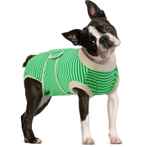Image of FUAMEY Dog Recovery Suit Male,Dogs Surgery Neuter Suits Puppy Spay Shirts for Female Protect Dog's Skin Anti Licking Abdominal Wounds Doggie Onesie Pet Bodysuit Alternative to Cone Green Stripes L