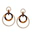 Produktbild SIX Damen Ohrringe, Ohrstecker, Ohrschmuck, Statement, Acryl, Horn-Optik, Acryl-Look, braun, goldfarben (784-301)