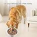 APGLSXY Slow Feeder Dog Bowl Insert with Strong Suction Cup Nonslip Silicone Pet Food Dispenser for Healthy Eating and Digestion